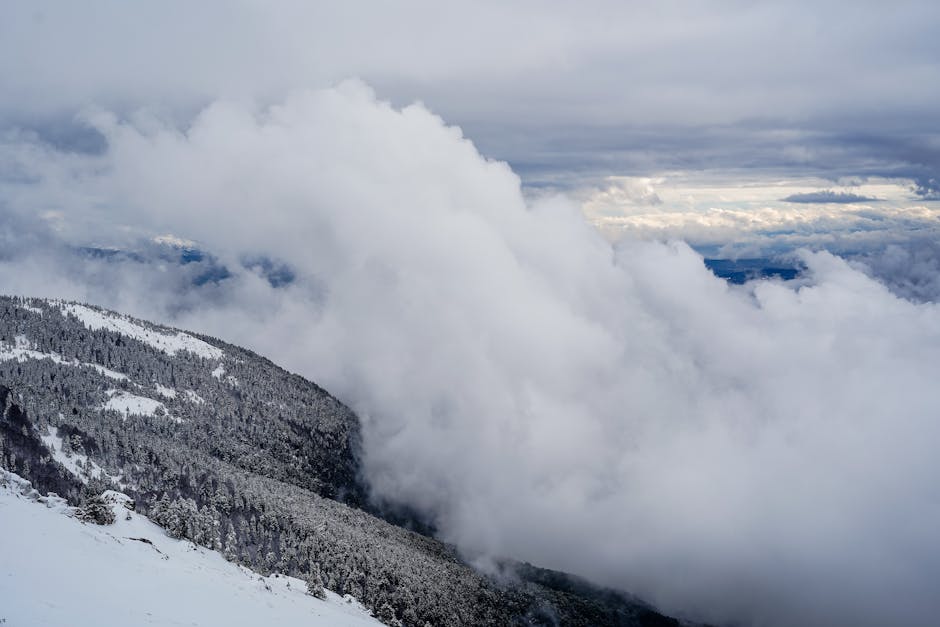 20 Fascinating Facts You Never Knew About the Planet