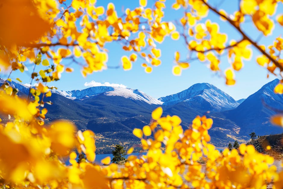 Did You Know These 12 Facts About the Rockies?