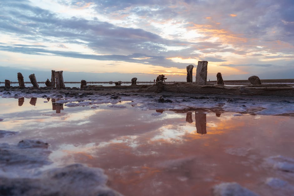 Top 10 Surprising Facts About the Great Salt Lake