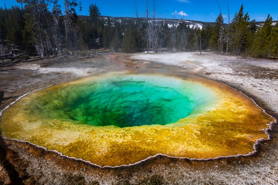 18 Fun Facts About Yellowstone National Park