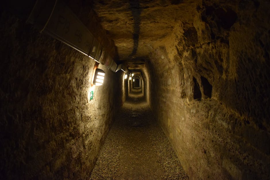 Did You Know These 15 Facts About the Underground Railroad?