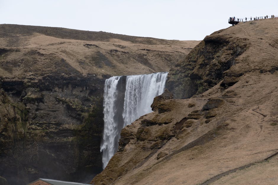 Top 10 Surprising Facts About Global Wildlife