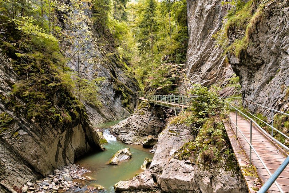 Top 10 Fascinating Facts About Bridges in the USA