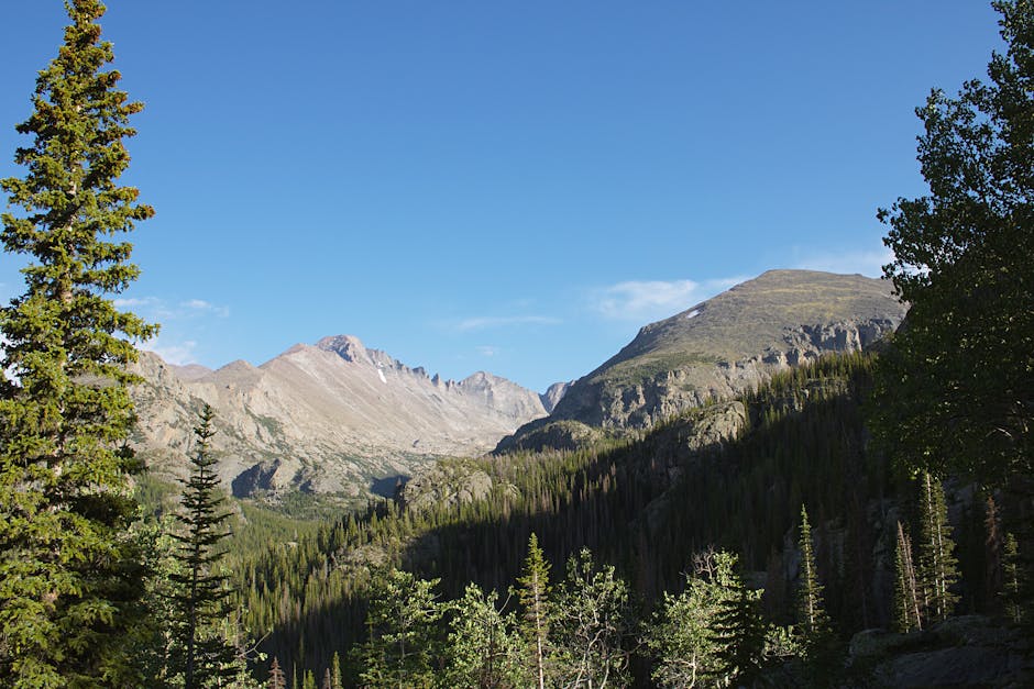 Did You Know These 20 Facts About US National Forests?