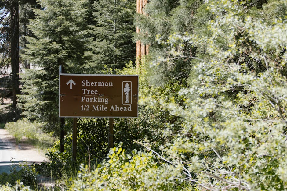 Did You Know? 20 Fun Facts About US State Parks