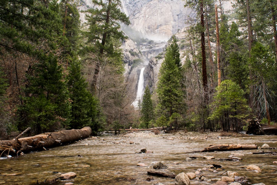 18 Fascinating Facts About Yosemite National Park