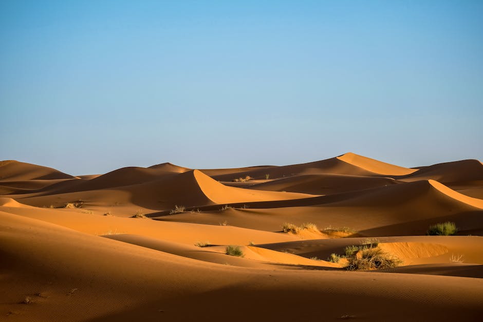 Hidden Geography Trivia: Secrets of the Sahara and More