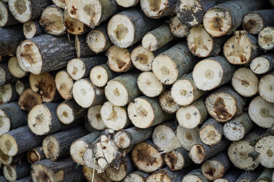 Did You Know These 20 Facts About US Natural Resources?
