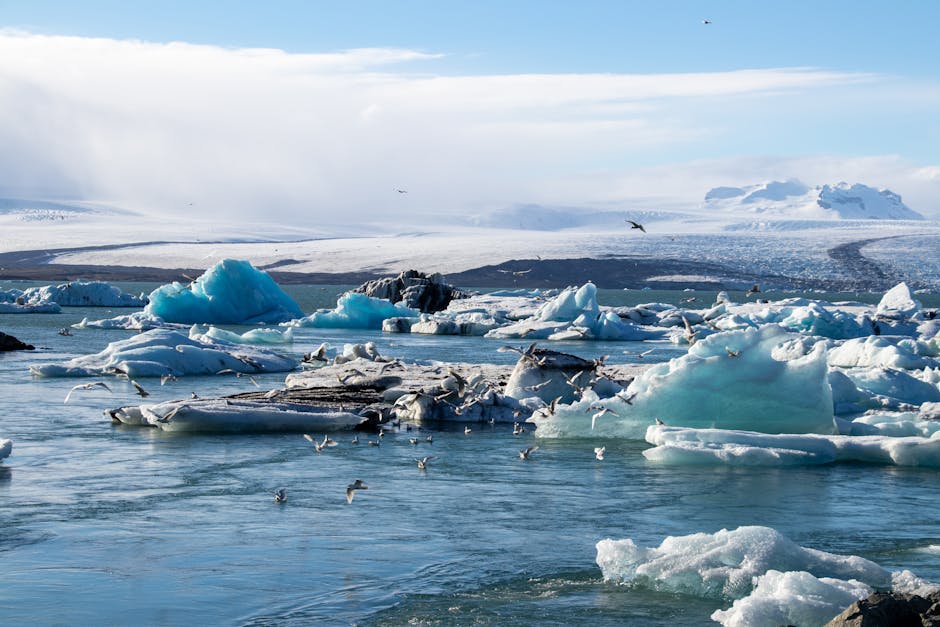 Did You Know These 12 Facts About US Glaciers?