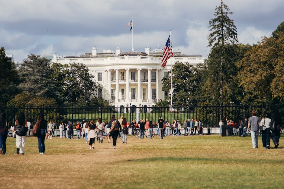 Top 10 Iconic American Bands and Their Global Influence