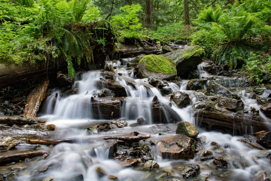 Did You Know? 20 Surprising Facts About US Waterfalls