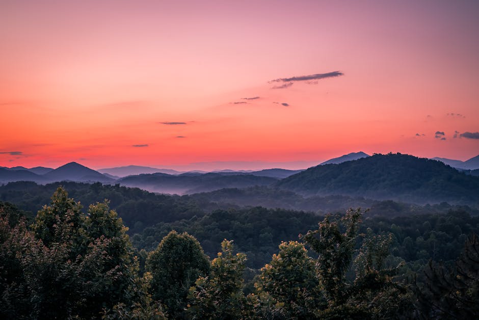 18 Fun Facts About the Great Smoky Mountains