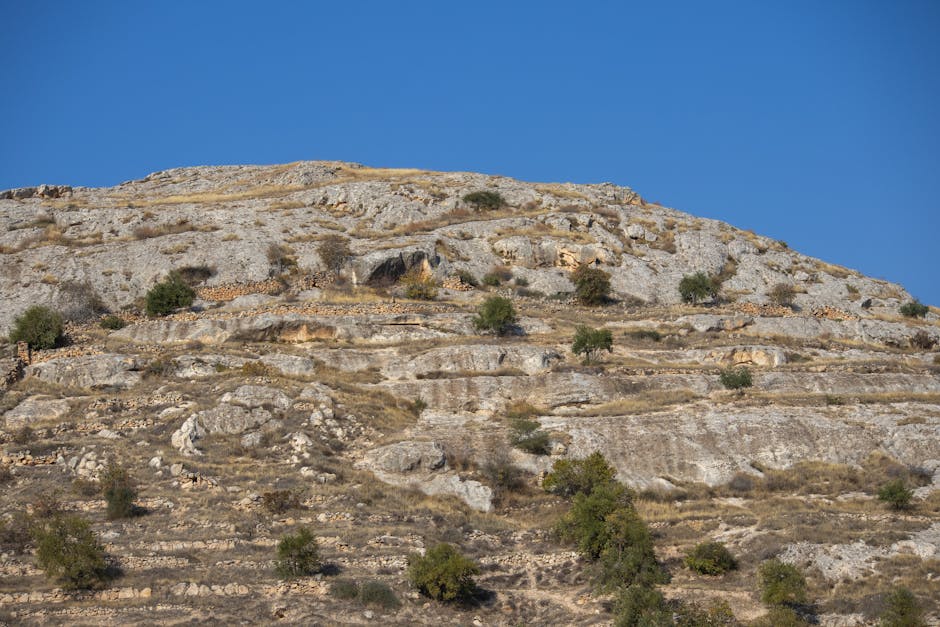 Top 10 Surprising Facts About Global Deserts