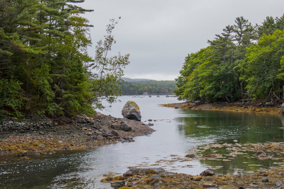 18 Fascinating Facts About Acadia National Park