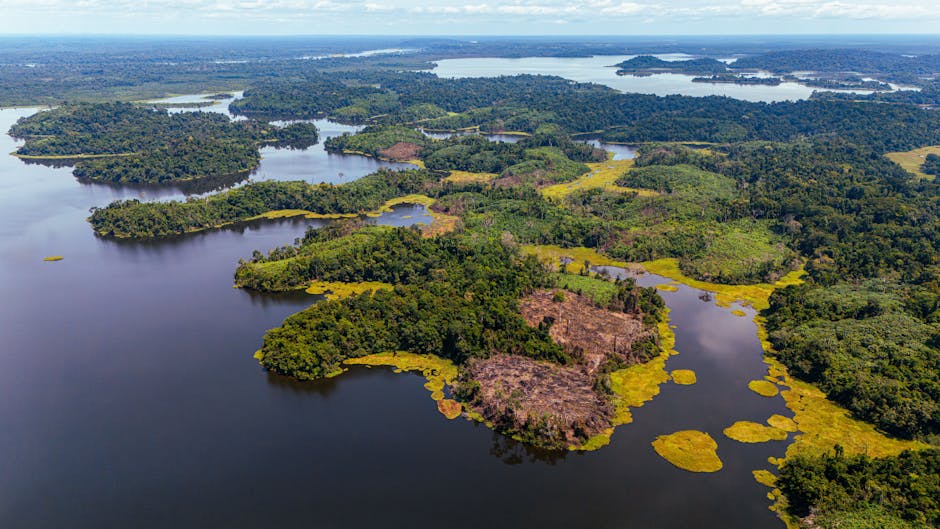 Fun Global Geography Trivia: 18 Facts About Rivers