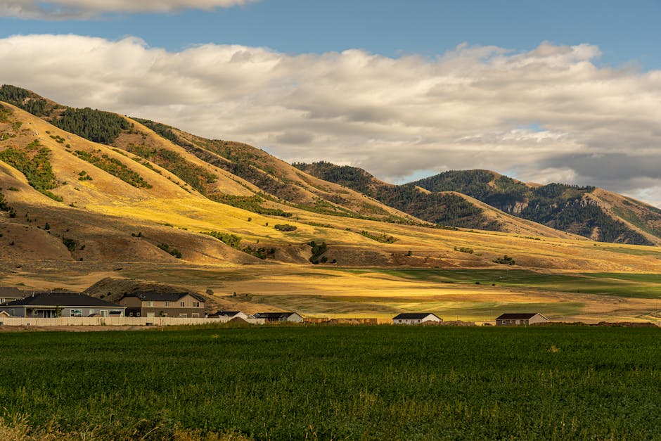 Fun American Geography Trivia: 18 Facts About US Valleys