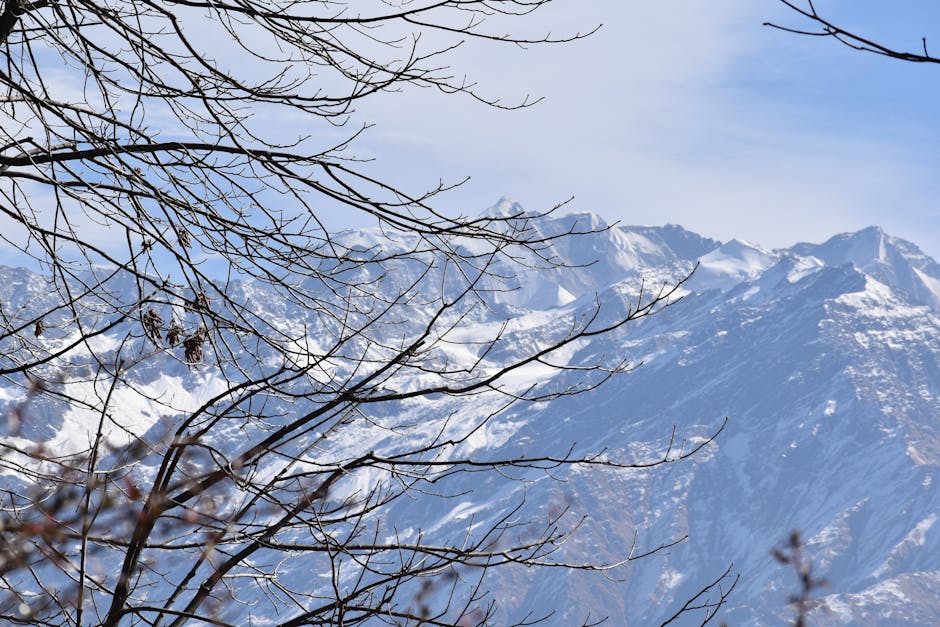 Did You Know? 20 Fun Facts About Global Climate Zones