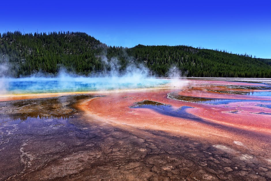 Top 12 Must-Know Facts About the Grand Prismatic Spring