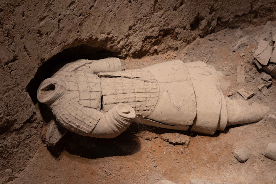 Did You Know? 15 Fun Facts About US Military History