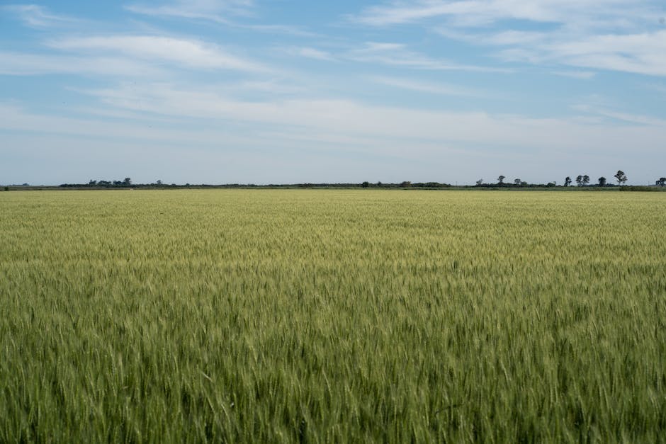 Did You Know These 20 Facts About US Climate Zones?