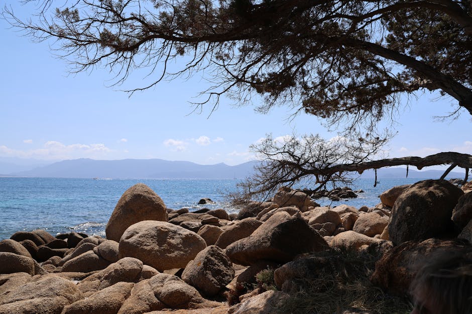 Top 10 Must-Know Facts About the Mediterranean Coast