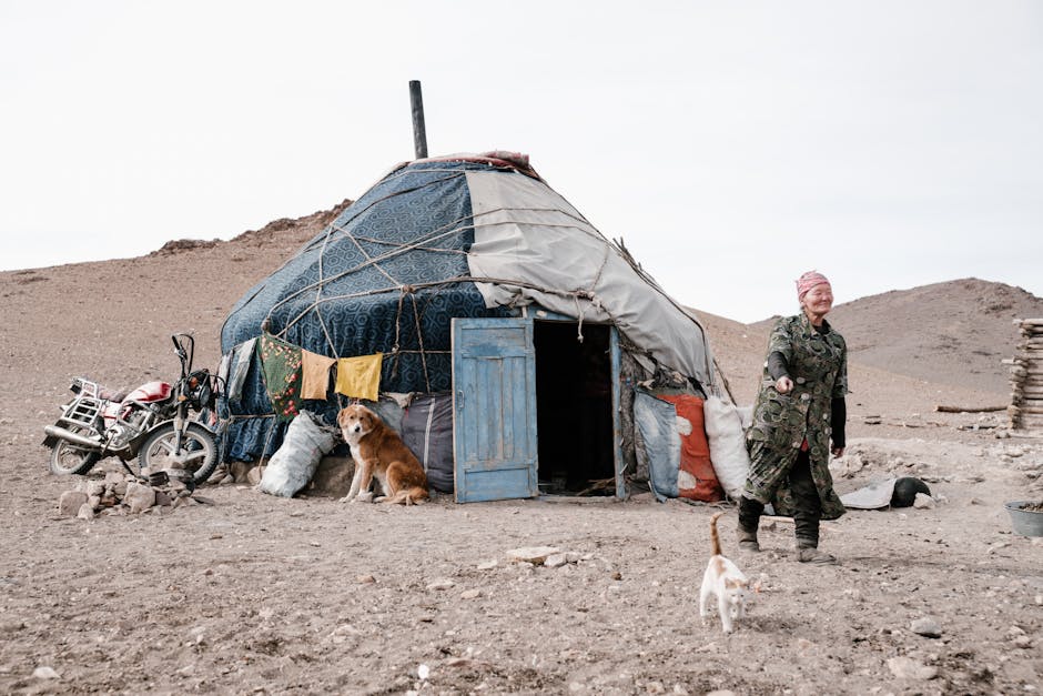 Did You Know? 15 Fun Facts About the Gobi Desert