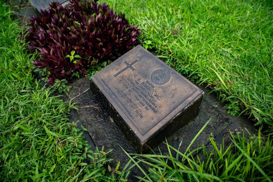 Did You Know? 20 Surprising Facts About World Wars