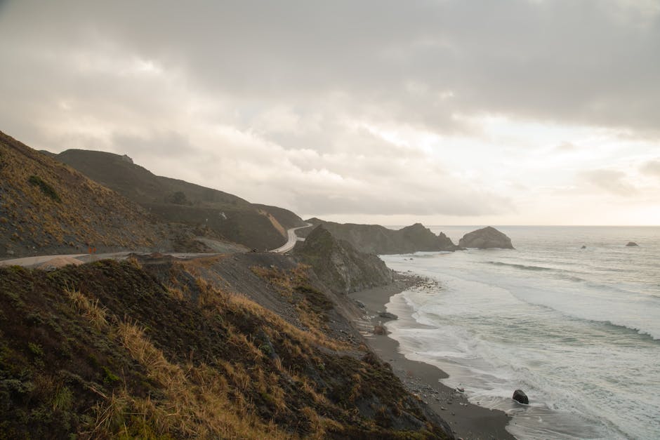 Top 12 Must-Know Facts About the Pacific Coastline