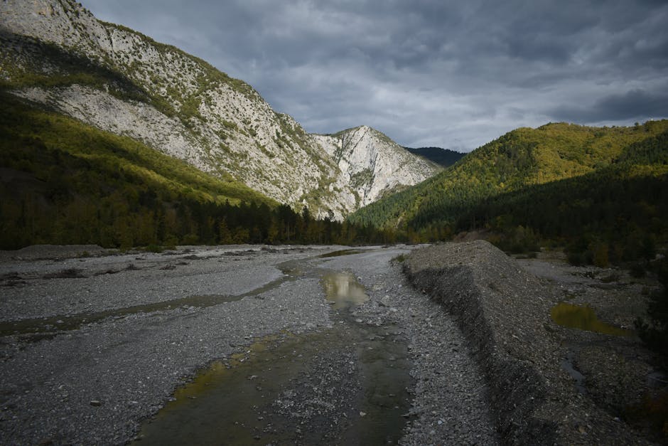 18 Must-Know Facts About the Great Basin