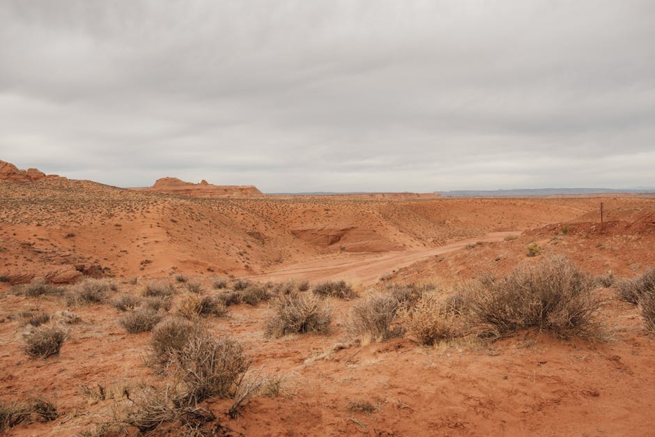 USA Geography Trivia: 20 Questions on American Deserts