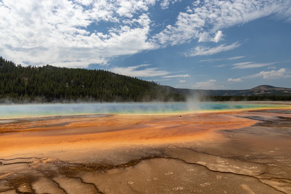 12 Must-Know Trivia About Yellowstone and US National Parks