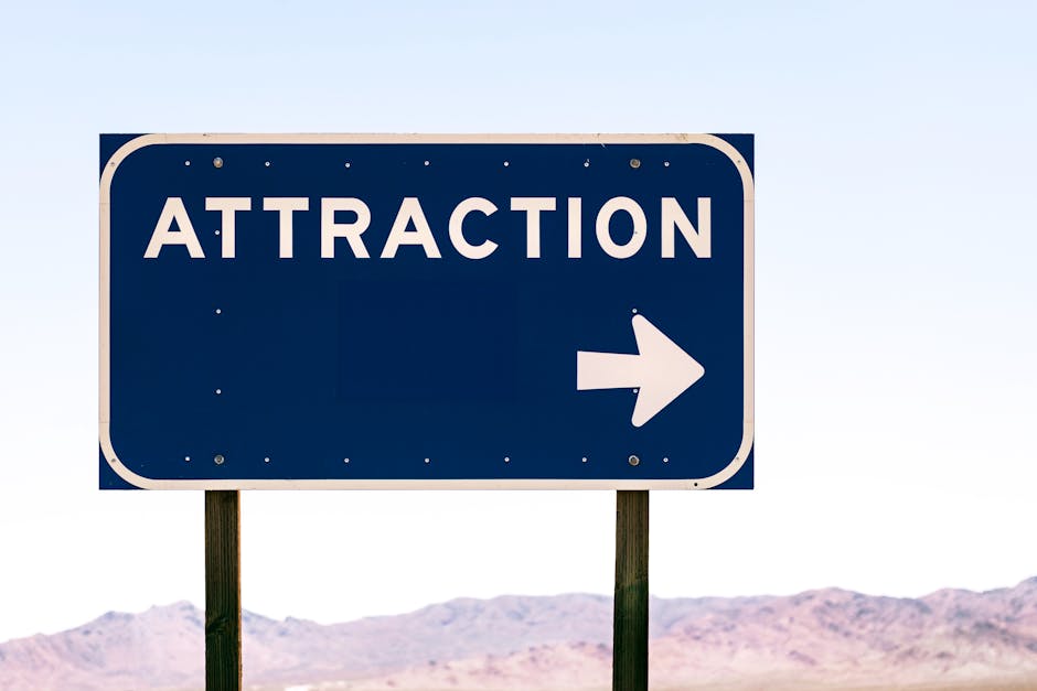 Did You Know These 20 Facts About Random Attractions?